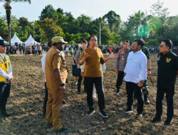 Ekonom Faisal Basri: Food Estate dan Kereta Cepat, Program Jokowi Yang Salah