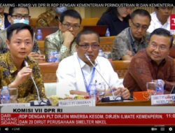 Tak Bisa Bahasa Indonesia, Komisi VII DPR Semprot Para Bos Smelter Nikel China