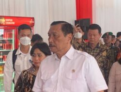 Terungkap! Luhut: Ada Pejabat Terlibat Kepemilikan 3,3 Juta Ha Lahan Sawit di Hutan