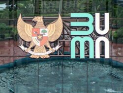 Buntut Proyek Mandek di 13 BUMN, Ekonom Kritik Strategi Jokowi Royal Bagi PMN
