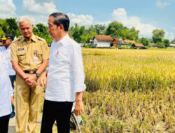 Jerry Massie: Permainan Dua Kaki Jokowi Sudah Terbaca PDIP