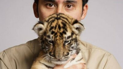 Alshad Ahmad Sebut Sudah 7 Ekor Harimau Mati Selama Dipelihara Dirinya