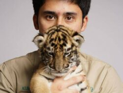 Alshad Ahmad Ancam Polisikan Netizen Yang Tuduh Dirinya Bunuh Anak Harimau