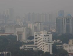 Jokowi Sudah 4 Minggu Batuk, Efek Polusi Udara DKI Jakarta?