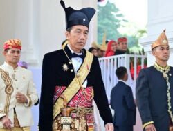 Jokowi Jawab Kritik Sekjen PDIP Soal Food Estate: Tak Semudah Yang Dibayangkan!