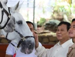Uji Materiil Usia Capres-Cawapres 35 Tahun Membuka Peluang Duet Prabowo-Gibran