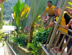 Ayuterra Resort Ditutup Usai 5 Karyawan Tewas dalam Kecelakaan Lift Jatuh ke Jurang