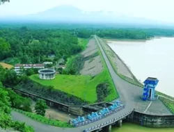 Kemarau Panjang, Makam Kuno Bermunculan di Waduk Gajah Mungkur