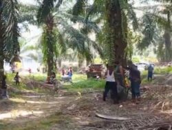 YLBHI: 3 Warga Seruyan Ditembak Polisi Saat Demo Sawit, 1 Tewas 2 Luka Parah