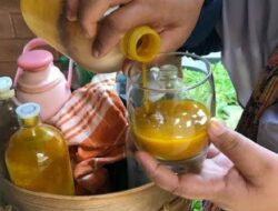 Diakui Warisan Budaya Indonesia Oleh UNESCO, Hetifah Harap Jamu Tak Hilang Tertelan Zaman