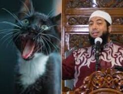 Ustadz Khalid Basalamah Sarankan Jangan Pelihara Kucing di Rumah, Ini Alasannya
