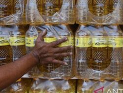 Aprindo Bakal Surati Jokowi Soal Tunggakan Minyak Goreng Satu Harga Rp.344 Miliar