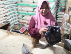 Cianjur ‘Lumbung Padi’ Tapi Beras Langka dan Tembus Rp. 17 Ribu per Kilogram