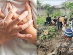 Kemenkes: Petugas Pemilu Yang Meninggal Dunia 114 Orang Tersebar di 17 Provinsi