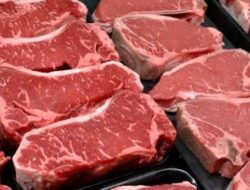Jelang Ramadhan, Kuota Impor Daging Kerbau Kembali jadi Polemik