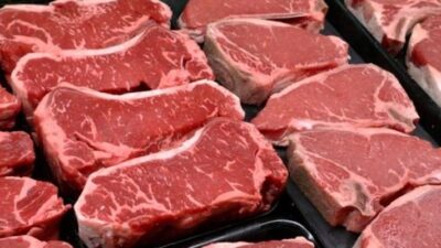Jelang Ramadhan, Kuota Impor Daging Kerbau Kembali jadi Polemik