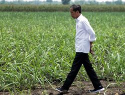 Jokowi Dijewer Akademisi Lagi: UGM Lewat Kampus Menggugat, UI Lewat Seruan Salemba
