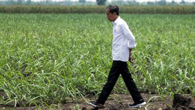Jokowi Dijewer Akademisi Lagi: UGM Lewat Kampus Menggugat, UI Lewat Seruan Salemba