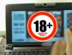Viral! VCS Diduga Sekda Rokan Hilir Onani Dengan Wanita Bugil, Polisi Turun Tangan