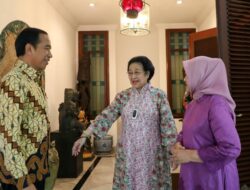 Herzaky Mahendra Soal Pertemuan Jokowi dan Megawati: Tak Usah Dipaksa, Apalagi Dihalangi
