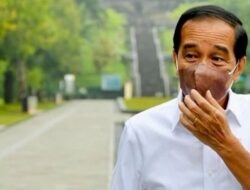 Efriza: Jokowi Pegang Kartu Truf Para Ketua Umum Parpol Meski Tak Punya Partai