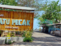 Nikmati Kelezatan Kuliner Unik Ikan Bakar Kiu-kiu di Pantai Watu Pecak Lumajang
