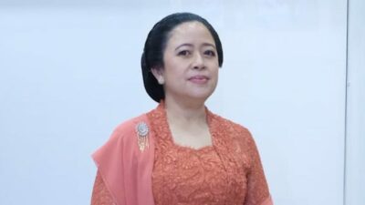 Ujang Komarudin: Kader PDIP Belum Siap Dipimpin Puan Maharani