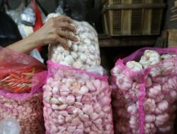 Aneh! Indonesia Impor Cabai, Gandum dan Bawang Putih Dai Singapura Dalam Jumlah Besar