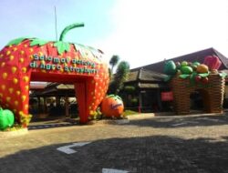 Kusuma Agrowisata: Dimana Wisata Petik Apel, Outbound dan Waterpark Jadi Satu