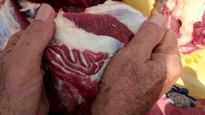 Daging Kurban Bertuliskan Lafaz Allah Bikin Gempar Warga Kota Palembang