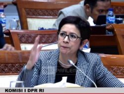 Nurul Arifin Ingatkan Kemenkominfo: Starlink Bisa Bunuh Industri Telekomunikasi Nasional