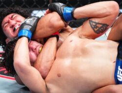 MUI Pusat Soal Pro Kontra UFC: Adu Ayam Saja Haram, Apalagi Adu Manusia!