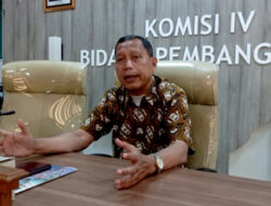 Keajaiban Dunia PPDB: Cuci Raport Hingga Pemalsuan Prestasi?