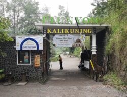 Plunyon Kalikuning, Jembatan Russel Skotlandia Versi Sleman