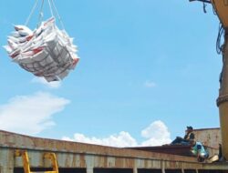 Ini Perusahaan Vietnam Yang Terkait Dugaan Markup Impor Beras Bulog dan Bapanas