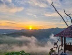 Bukit Dewa-Dewi, Menikmati Pesona Taman di Puncak Kebun Alpukat Wonogiri