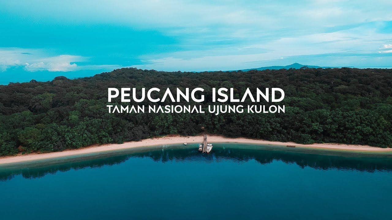 Menikmati Keindahan Alam dan Keberagaman Flora-Fauna di Pulau Peucang ...