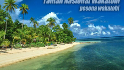 Panorama Laut Indonesia Yang Memukau di Taman Nasional Wakatobi
