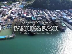 Wisata Pohon Satu Tanjung Pasir, Hamparan Padang Rumput Unik dan Estetik di Tarakan