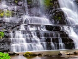 Curug Onje Temanggung, Daya Tarik Alam Asri di Tengah Hutan