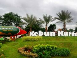 Kurma Park, Destinasi Wisata Halal Bernuansa Kota Madinah di Pasuruan