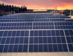 Walhi Soal IKN Bangun 21 Ribu Tenaga Panel Surya Senilai Rp. 998,4 Miliar: Deforestrasi Bakal Meluas!