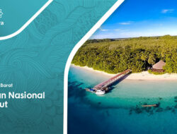 Taman Nasional Siberut, Tempat Tinggal Flora dan Fauna Endemik di Mentawai