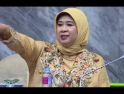 Andi Yuliani Paris Kecewa PLTS di Surabaya Pakai Material Impor: 100 Persen Dari China!