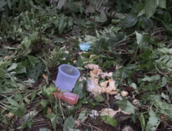 Pembunuh Gadis Penjual Gorengan di Padang Pariaman Residivis Narkoba, Kini Diburu Polisi