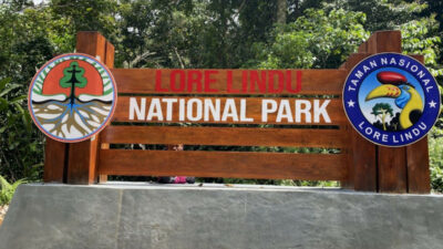 Taman Nasional Lore Lindu, Surga Flora dan Fauna Tersembunyi di Selatan Palu, Sulteng