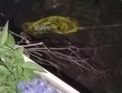 Aksi Vandalisme di Enrekang Jelang Pilkada 2024, Bendera Partai Golkar DiBuang Ke Sungai