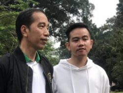 Gibran Bakal Mati-matian Pasang Badan Lindungi Jokowi Dari Ancaman Penjara