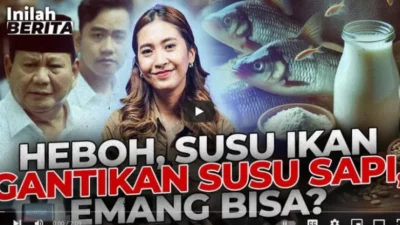 Bakal Jadi Salah Satu Menu Makan Bergizi Gratis Prabowo, Apa Itu Susu Ikan?