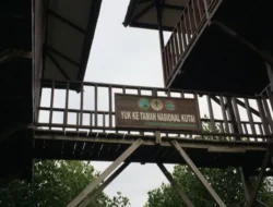 Rekreasi Sambil Telusuri Jejak Karbon Biru di Bontang Mangrove Park, Kaltim